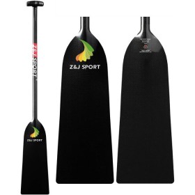 zj carbon 01